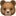 🐻